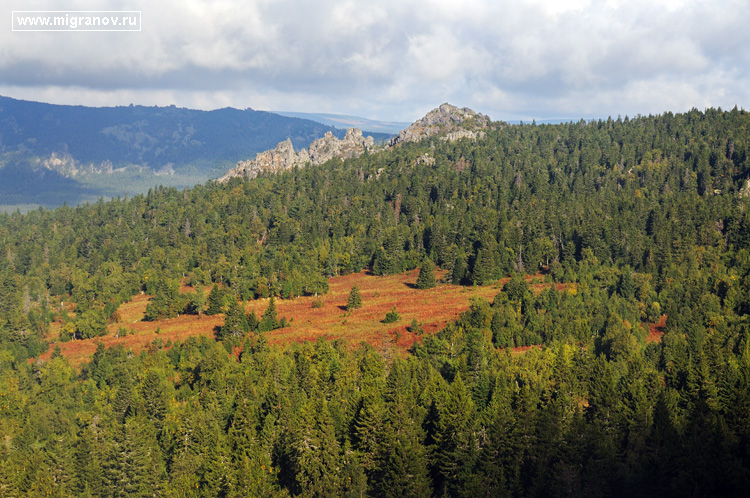 ������� �����