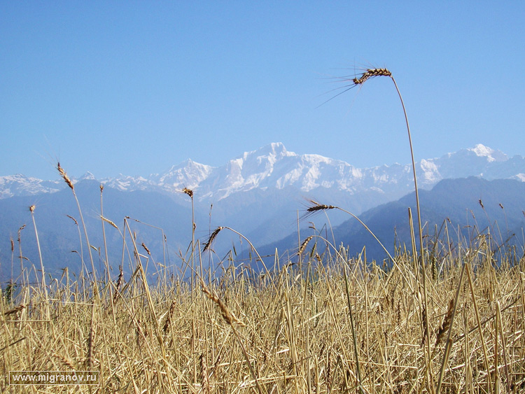 kedarnath mountain
