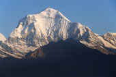 гора Дхаулагири