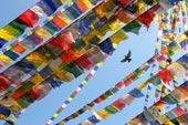 tibetan flags