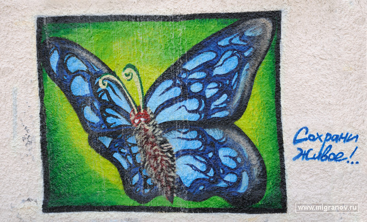 граффити с бабочкой